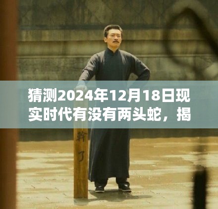 揭秘未来，揭秘两头蛇现象，预测未来时代是否会出现两头蛇现象（2024年12月18日）