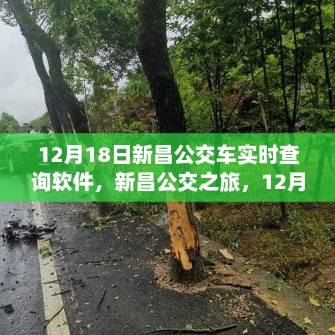 新昌公交之旅，实时查询软件与暖心公交故事回顾