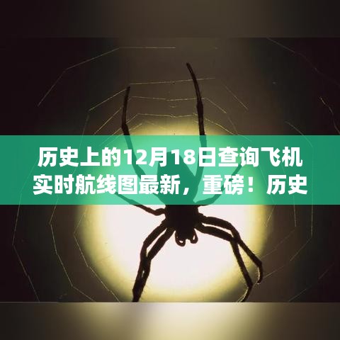 揭秘历史与未来航线，十二月十八日飞机实时航线图最新动态重磅发布