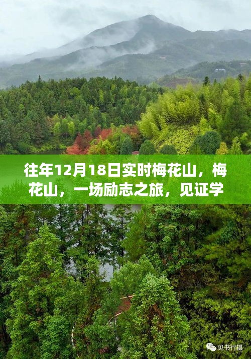 梅花山励志之旅，见证学习力量与自信绽放的奇迹
