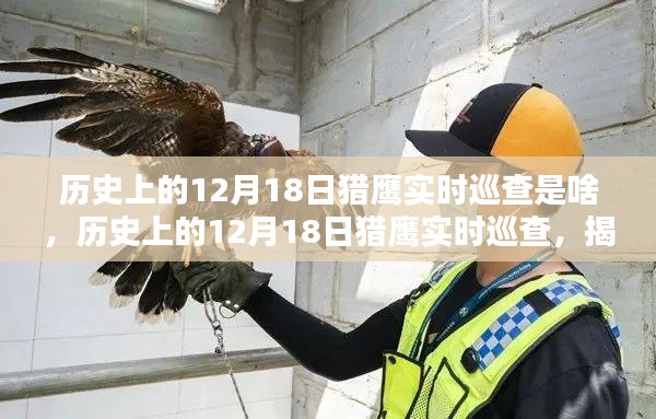 揭秘历史上的12月18日猎鹰实时巡查背后的真相