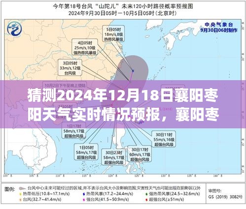 襄阳枣阳天气预报背后的暖心故事，揭秘实时天气与未来预测（2024年12月18日）