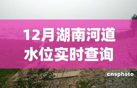 湖南河道水位实时监控，实时查询，智掌水域动态新纪元