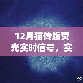 售后流程 第136页