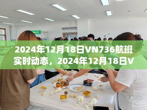掌握飞行细节，无忧出行体验，2024年12月18日VN736航班实时动态