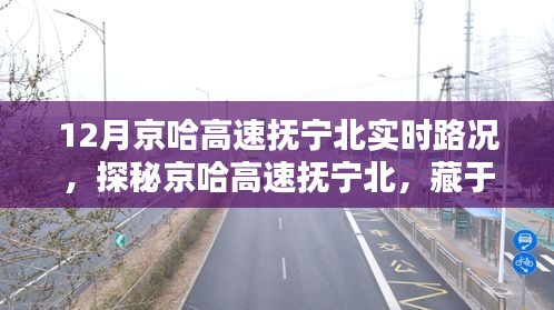 鬼张鬼智 第3页