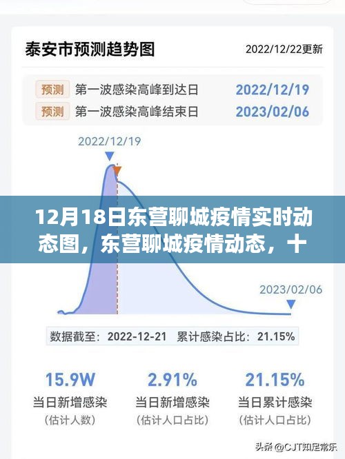 12月18日东营聊城疫情实时动态深度观察与微观思考