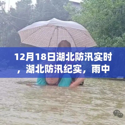 湖北防汛纪实，雨中的温情与家的羁绊，实时防汛进展观察