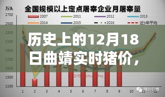 回望历史，曲靖实时猪价变迁——12月18日猪价回顾