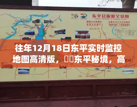 东平秘境，高清地图实时监控下的自然之旅探索