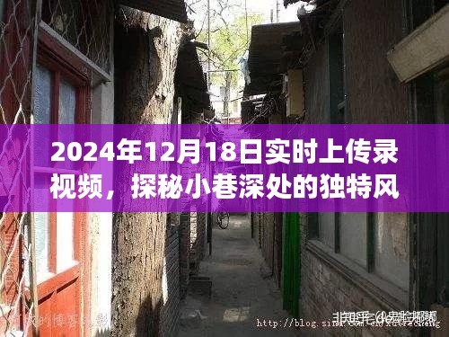探秘隐藏小巷深处的独特风味录视频小店故事，实时记录2024年12月18日的一天