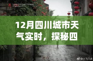 四川城市角落特色小店与实时天气体验，十二月探秘小巷深处的温暖天地