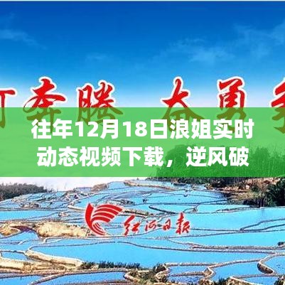 逆风破浪，浪姐励志旋律与自信之美的历年12月18日动态视频回顾