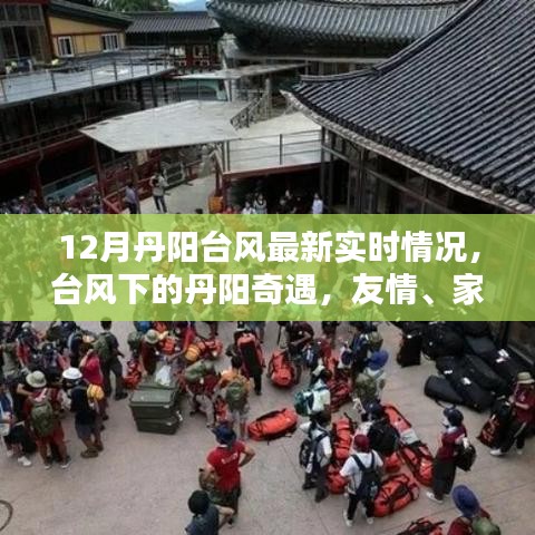 丹阳台风下的奇遇，友情、家庭与温暖的守护实时更新