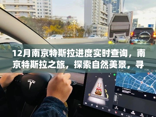 南京特斯拉实时进度追踪，探索自然美景，启程内心的宁静与平和之旅