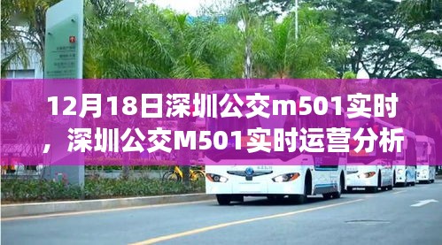 深圳公交M501实时运营分析与效率提升策略探讨