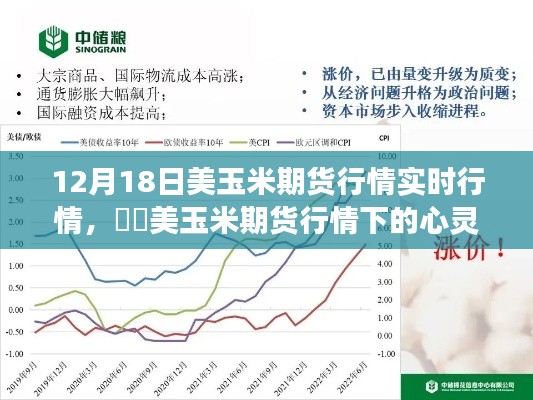 美玉米期货行情与自然美景的不解之缘，实时行情分析与心灵之旅​​