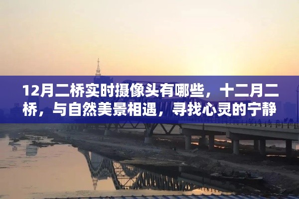 十二月二桥，与自然美景相遇，实时摄像头下的心灵宁静胜地