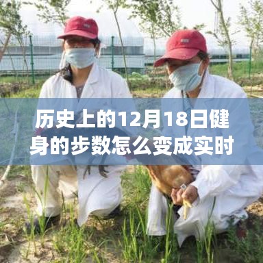 夫妻本是同林鸟 第3页