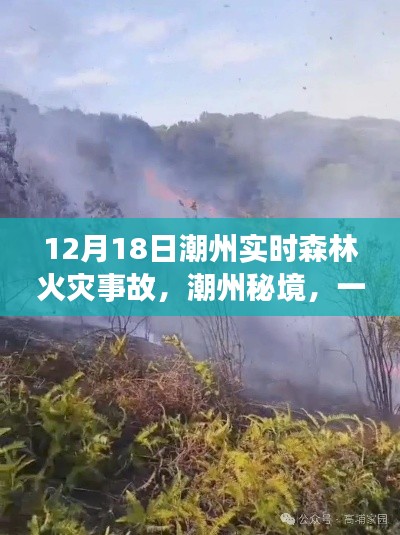 潮州秘境火灾事故，探寻自然美景背后的力量与内心宁静之旅