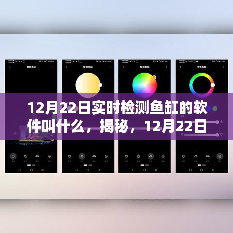 揭秘！热门鱼缸实时监测软件推荐，12月22日实时检测鱼缸软件名称揭晓！
