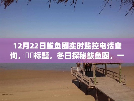 冬日探秘鲅鱼圈，实时监控电话查询引领宁静之旅