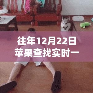 苹果魔法日，友情与陪伴的温馨故事，圆圈中的守护与寻找