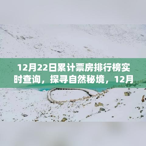 探寻自然秘境，启程寻找内心的宁静绿洲，12月22日票房排行榜背后的旅行梦想实时查询