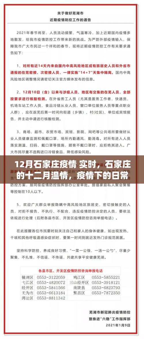 石家庄十二月温情，疫情下的日常小确幸与友情纽带实时关注