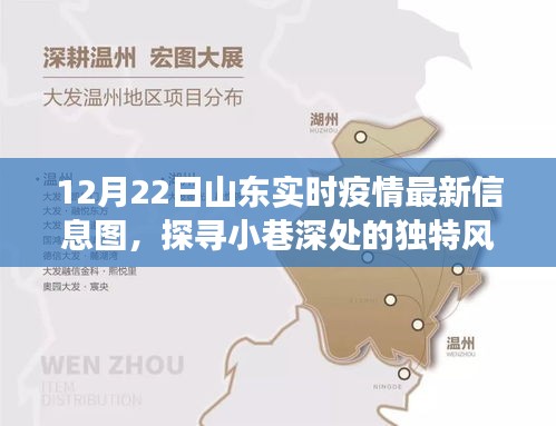 山东疫情最新信息图背后的故事，探寻小巷深处的独特风味与疫情动态