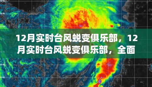 全面评测与介绍，12月实时台风蜕变俱乐部