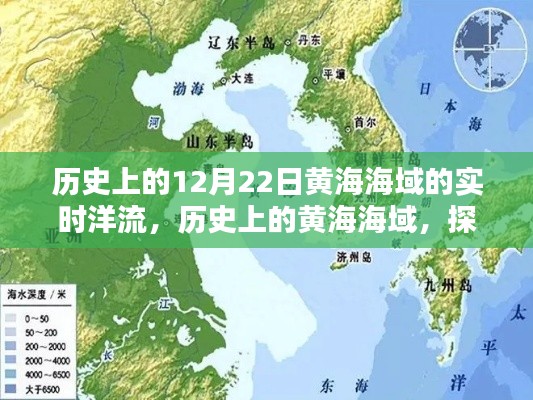 花开无言 第3页