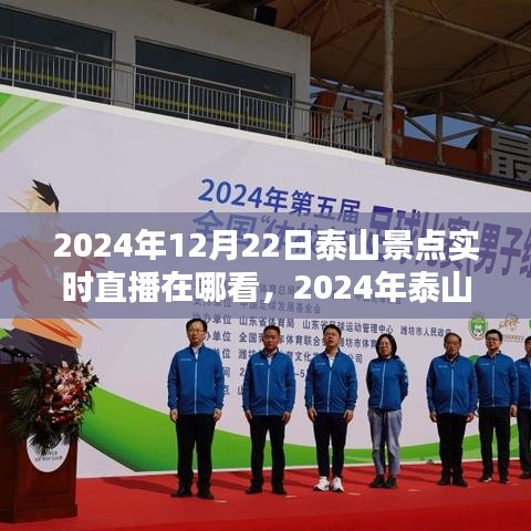 2024年泰山景点实时直播观看指南，全面解析与个性化观点