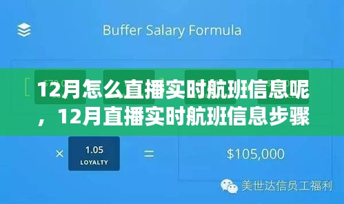 12月直播实时航班信息步骤指南，轻松掌握航班动态