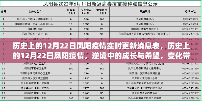 历史上的12月22日凤阳疫情，逆境中的成长与希望，实时更新消息表