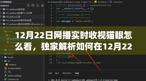 独家揭秘，猫眼视角下的网播实时收视数据解析秘籍——掌握网播实时收视数据的秘籍大揭秘！