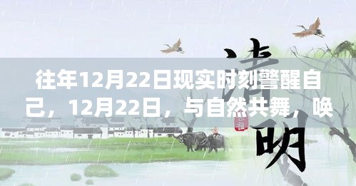 12月22日，警醒与自然的共舞，唤醒内心平静之旅