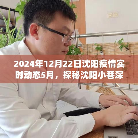 沈阳小巷深处的防疫故事与独特风味，一家特色小店的魅力时光——2024年沈阳疫情实时动态