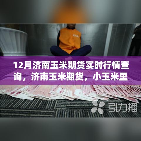 济南玉米期货行情解析，温情故事与家庭时光中的小玉米市场观察