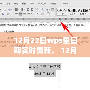 掌握WPS日期实时更新技巧，轻松应对日常工作挑战