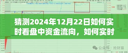 详细步骤指南，如何实时观察与分析2024年12月22日股市资金流向的实时看盘策略与技巧