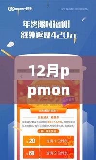 揭秘PPmoney最新进展，深度分析、实时动态与前景展望（十二月版）