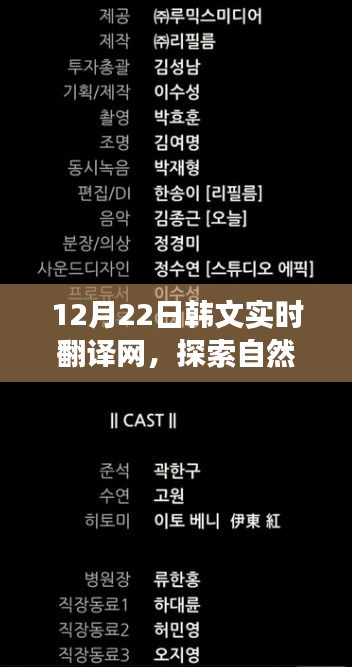 12月22日韩语实时翻译网，自然美景与心灵之旅的探寻