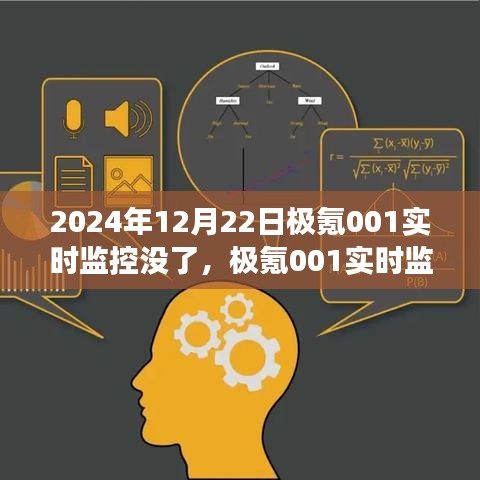 极氪001实时监控缺失事件深度解析，观点与洞察