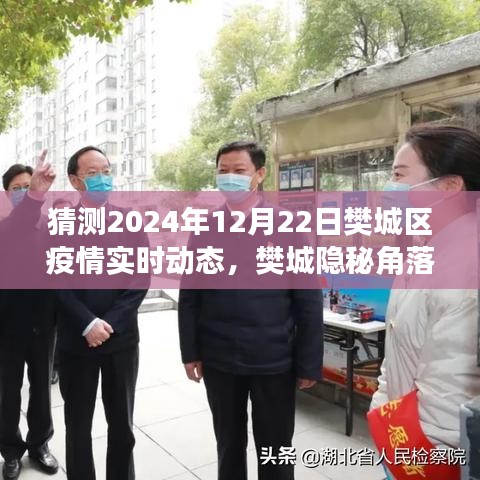 樊城区疫情实时动态预测与隐秘宝藏小店的美食探索之旅，疫情之下的独特日常与美食之旅