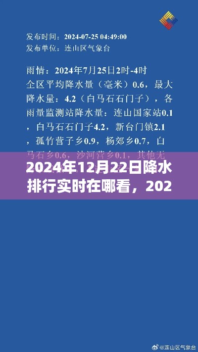 2024年12月22日降水实时排行查看指南，如何获取最新降水信息