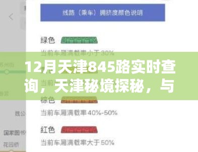 天津秘境探秘之旅，与845路共舞，寻找宁静绿洲的十二月实时指南