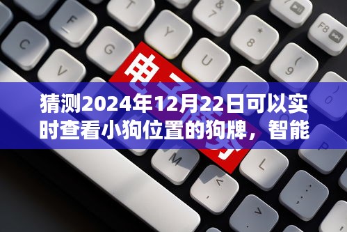 2024年智能狗牌实时定位小狗位置，未来体验的魅力
