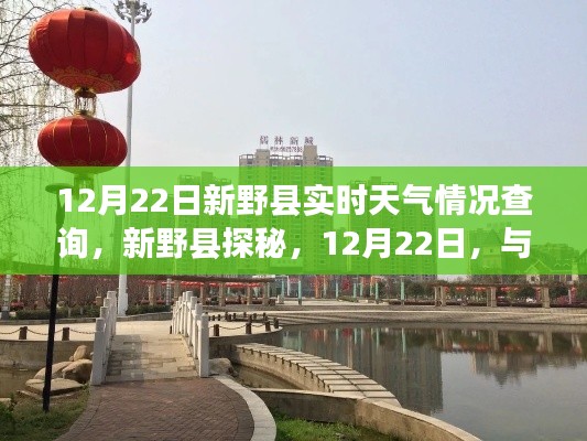 12月22日新野县实时天气与美景探秘，与自然共舞的一天