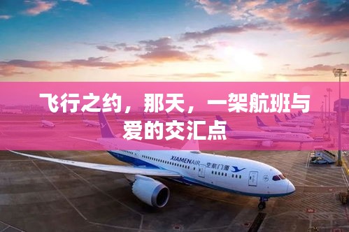 爱的交汇点，飞行之约的温馨邂逅